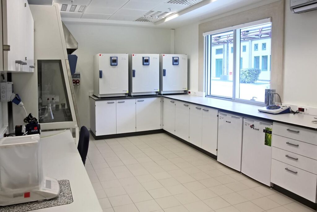 Mercedes-Benz Türk KAPA 4700 Projesi İnşaatı